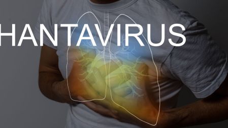 Hantavirus de los Andes: ¿Cómo se contagia y cómo identificar los síntomas?