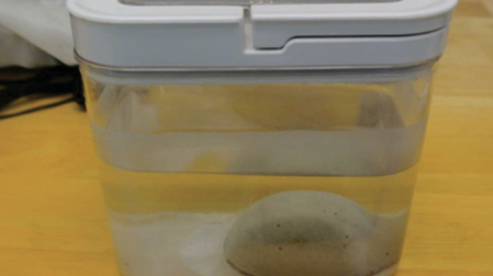 Se colocó QBLOCK® en recipiente y se cubrió con agua.