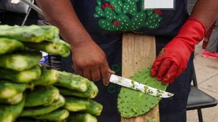 Feria del Nopal en CDMX.