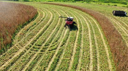 Agroindustria, la gran beneficiada del acuerdo con Europa.