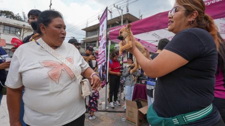 Con el apoyo del gobierno municipal, se ha procurado prevenir el abandono y el cuidado de los seres sintientes