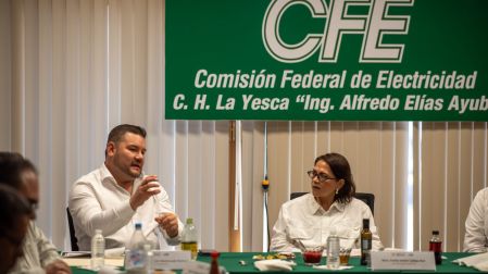 CFE jalisco