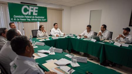 CFE jalisco