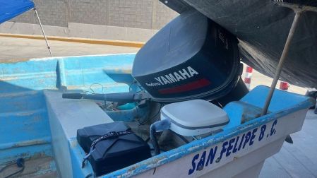 Conapesca incumple monitoreo en hábitat vaquita marina