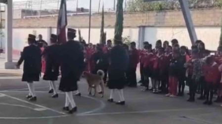 Perrito se une a honores a la bandera en primaria de Tecámac