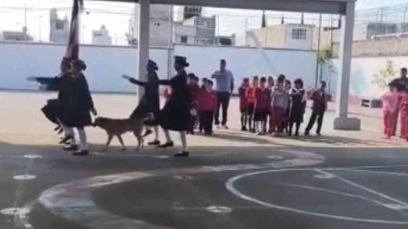 Perrito se une a honores a la bandera en primaria de Tecámac