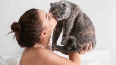 Señales de que mi gato me quiere