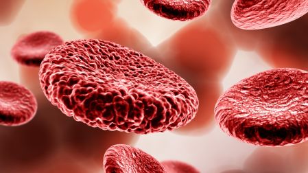 Representación digital de glóbulos rojos circulando en la sangre durante procesos asociados a agotamiento y deshidratación.