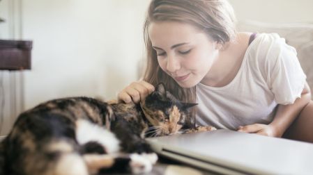 ¿Cuándo es recomendable tener otra mascota tras la muerte de la anterior?