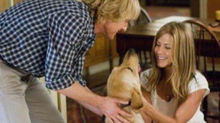 Películas protagonizadas por perritos que no te puedes perder