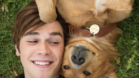 Películas protagonizadas por perritos que no te puedes perder