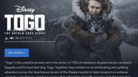 Películas protagonizadas por perritos que no te puedes perder