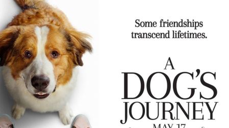 Películas protagonizadas por perritos que no te puedes perder