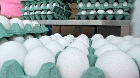 Durante meses la charola de Huevos se cotizó en un promedio de entre 80 y 100 pesos; ahora comenzó a rematarse hasta en 40 y 35 pesos.