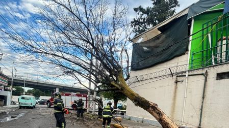 Para evitar ponerse en riesgo, Protección Civil recomendó a la población retirar objetos que pudieran caer