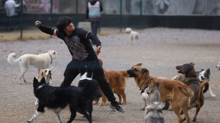 CIUDAD DE MÉXICO, 30MARZO2026.- Un joven lanza una pelota mientras juega con los perros que cuida en Avenida Reforma.FOTO: GRACIELA LÓPEZ / CUARTOSCURO.COM