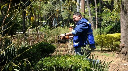 La demarcación indicó que trabaja en el retiro de árboles en riesgo de caer