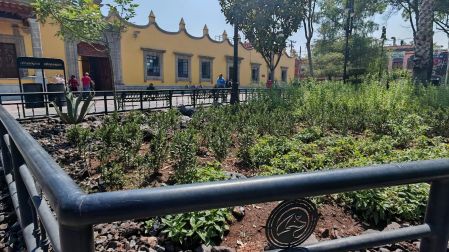 Coyoacán