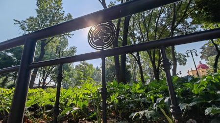Coyoacán