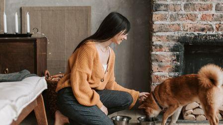 ¿Cómo eliminar el mal aliento de tu perro?
