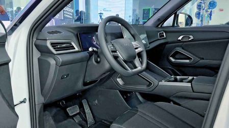 Acceso remoto, funciones y control del vehículo a distancia desde la BYD App.