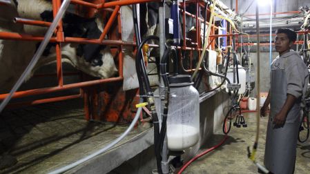 El 57% de la leche que se produce en México proviene de los estados de Chihuahua, Coahuila, Durango y Jalisco.