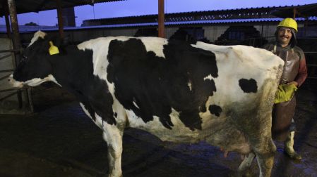 El consumo per cápita de este producto es de alrededor de 148 litros al año.