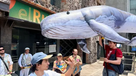 ballena