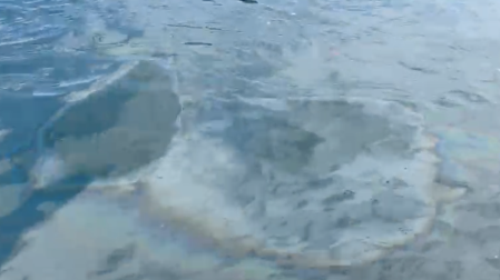Reportan grave derrame de combustible en Bahía de Manzanillo