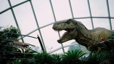 ¿Por qué los T-rex tienen brazos pequeños? Nuevo estudio lo revela