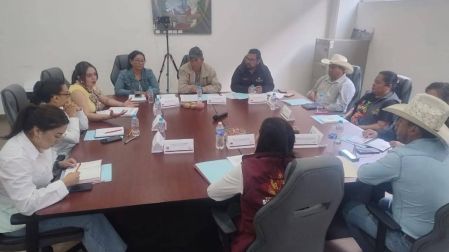 regidores