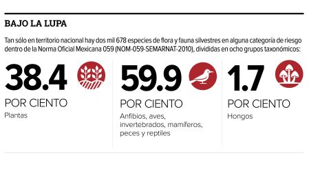 Clasificación de especies en peligro