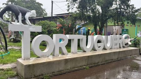 Qué hacer en Tortuguero: 5 experiencias imperdibles en el Amazonas de Costa Rica