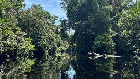 Qué hacer en Tortuguero: 5 experiencias imperdibles en el Amazonas de Costa Rica
