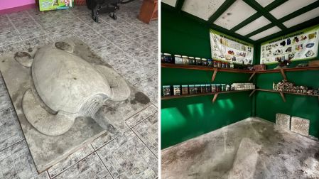 Qué hacer en Tortuguero: 5 experiencias imperdibles en el Amazonas de Costa Rica