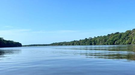 Qué hacer en Tortuguero: 5 experiencias imperdibles en el Amazonas de Costa Rica