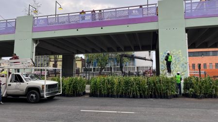 En paralelo, trabajadores avanzan en la intervención artística de los pilares que sostienen la estructura