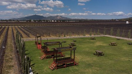 Un festival de vinos es otra opción para salir de la rutina.