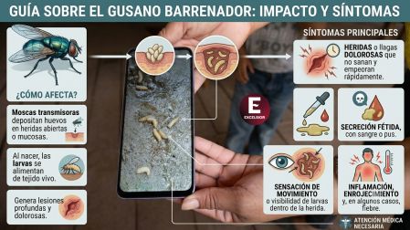 El gusano barrenador es una plaga grave que amenaza al ganado, a las mascotas, a la fauna silvestre y, en casos excepcionales, a las personas.