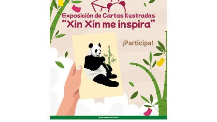 Xin Xin cumple 36 años: conoce cómo enviar tu carta al panda gigante de Chapultepec