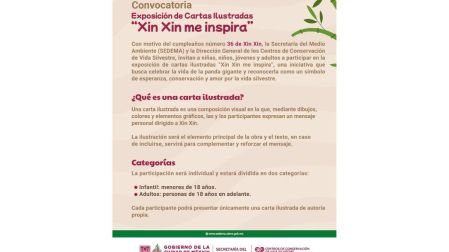 Xin Xin cumple 36 años: conoce cómo enviar tu carta al panda gigante de Chapultepec