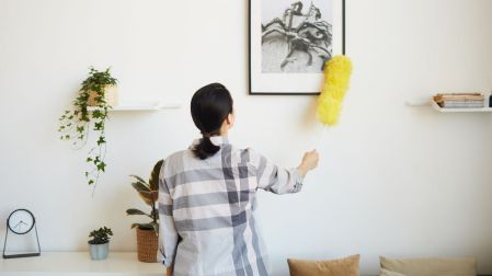 Plantas que ayudan a reducir el polvo en casa