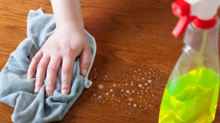¿Cómo eliminar las polillas de la madera?