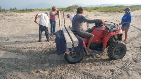 Personas que ayudan a tortugas marinas en el Santuario Morro Ayuta
