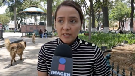 Yazmín Ramos, originaria de Tlaxcala, huyó de Chile tras sufrir 10 años de violencia física