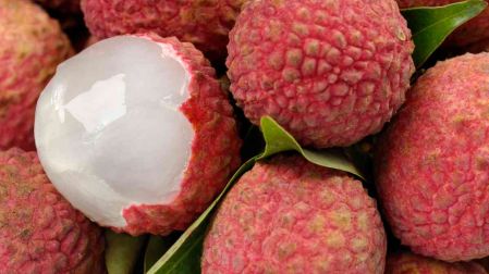 Litchi