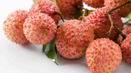 Litchi