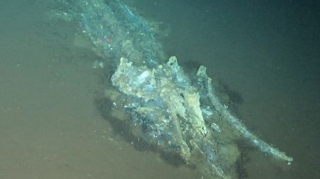 This handout photograph taken by Global TREnD, IDSSE, seven kilometres under the sea on the deep seafloor of the Diamantina Zone in the Indian Ocean in 2023 and released on June 10, 2026, shows a whale bone at the world's biggest known whale graveyard discovered by the Chinese submersible Fendouzhe. The world's largest whale graveyard has been discovered at the bottom of the Indian Ocean by Chinese scientists, who found that the vast expanse of both new and ancient carcasses supports huge communities of deep-sea life. A new, though extinct, species of whale was also identified among the nearly 500 skeletons found up to 7,000 metres deep along a 1,200 kilometre corridor of bones in the Indian Ocean west of Australia. (Photo by Handout / Global TREnD, IDSSE / AFP) / RESTRICTED TO EDITORIAL USE - MANDATORY CREDIT "AFP PHOTO / HANDOUT Global TREnD, IDSSE" - NO MARKETING NO ADVERTISING CAMPAIGNS - DISTRIBUTED AS A SERVICE TO CLIENTS