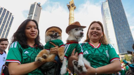 Las mascotas no podían faltar al festejo por la victoria del Tri.