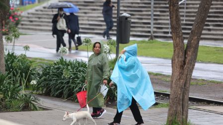 Paseo de la Reforma y Anillo Periférico concentraron las mayores emergencias por la fuerte precipitación acompañada de rachas de vientos de más de 50 kilómetros por hora.